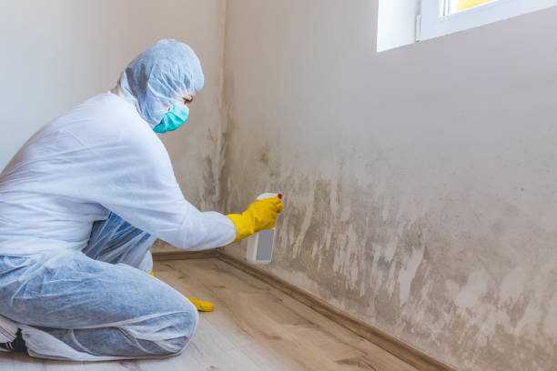 Licensed Commercial Mold Remediation service in Glen Burnie, MD - WQB Mold Removal