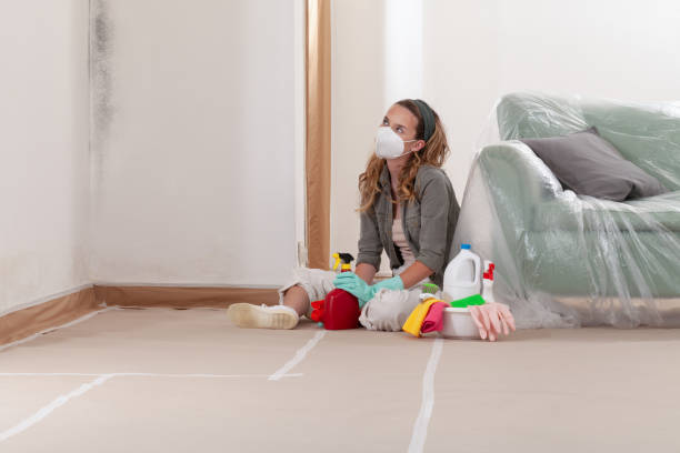 Reliable Commercial Mold Remediation contractor in Glen Burnie, MD by WQB Mold Removal